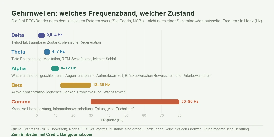 Diagramm der fünf EEG-Gehirnwellen-Frequenzbänder, positioniert auf einer Achse von 0 bis 80 Hertz. Delta 0,5 bis 4 Hz: Tiefschlaf, traumloser Zustand, physische Regeneration. Theta 4 bis 7 Hz: tiefe Entspannung, Meditation, REM-Schlafphase, leichter Schlaf. Alpha 8 bis 12 Hz: Wachzustand bei geschlossenen Augen, entspannte Aufmerksamkeit, Brücke zwischen Bewusstsein und Unterbewusstsein. Beta 13 bis 30 Hz: aktive Konzentration, logisches Denken, Problemlösung, Wachsamkeit. Gamma 30 bis 80 Hz: kognitive Höchstleistung, Informationsverarbeitung, Fokus, Aha-Erlebnisse. Werte nach dem klinischen Referenzwerk StatPearls; die Zustände sind grobe Zuordnungen, keine exakten Grenzen.